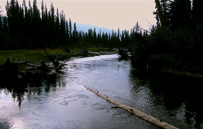 Big Salmon River Upstream.jpg