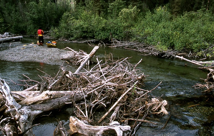 th_Log Jam at Big Salmon.jpg